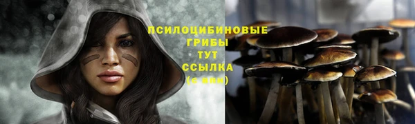 а пвп мука Абаза