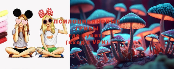 а пвп мука Абаза