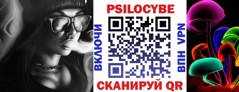 Псилоцибиновые грибы Psilocybe  Александровск 
